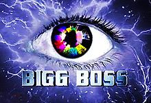 Bigg Boss Kannada Season 1