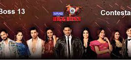 Bigg Boss S13