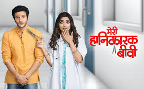 Meri Hanikarak Biwi Meri Hanikarak Biwi