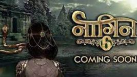 Naagin Season 6