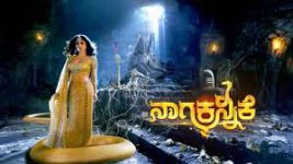 Naga Kannike Season 2