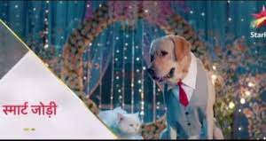 Smart Jodi Smart Jodi