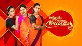 Star Maa Special Shows