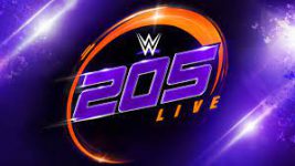 WWE 205