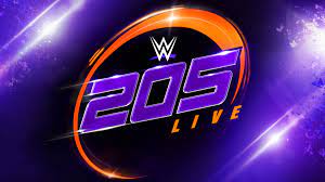 WWE 205 WWE 205