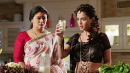 Naagin (Colors tv) S01E48 17th April 2016 Full Episode