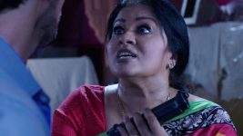 Naagin (Colors tv) S01E55 14th May 2016 Full Episode