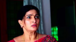Agnipariksha (Telugu) S01E245 29th July 2022 Full Episode