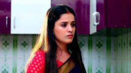 Agnipariksha (Telugu) S01E253 8th August 2022 Full Episode