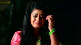 Agnipariksha (Telugu) S01E310 13th October 2022 Full Episode