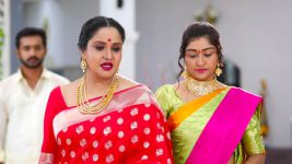 Aranamanai Kili S01E321 Meenakshi Allows Jaanu to Stay Full Episode