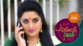 Aravinda Sametha S01E25 4th January 2021 Full Episode