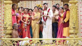 Avalum Naanum S01E380 Praveen, Thiya Tie the Knot Full Episode