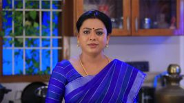 Baakiyalakshmi S01E15 Baakiyalakshmi Is Worried Full Episode