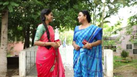 Baakiyalakshmi S01E29 Baakiyalakshmi Runs into Radhika Full Episode