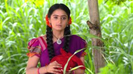 Bangaru Panjaram S01E06 Mahalakshmi Lands in Tight Spot Full Episode