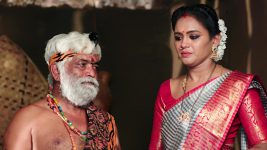 Bangaru Panjaram S01E492 Aparna Makes a Plea Full Episode