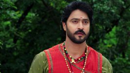 Bangaru Panjaram S01E494 Will Raja Babu Find Mahalakshmi? Full Episode