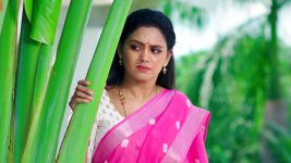 Bangaru Panjaram S01E516 Aparna Fears the Worst Full Episode