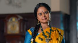 Barrister Babu (Bengali) S01E313 14th September 2021 Full Episode