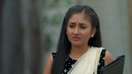 Barrister Babu (Bengali) S01E336 15th October 2021 Full Episode