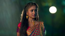 Barrister Babu (Bengali) S01E345 28th October 2021 Full Episode
