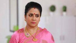 Bharathi Kannamma S01E58 Soundharya Gives a Deadline Full Episode