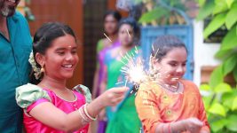 Bharathi Kannamma S01E969 Deepavali Celebrations Full Episode