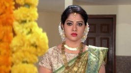 Bharya (Star Maa) S01E11 Anandi as Tara's Target Full Episode