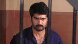 Bharya (Star Maa) S01E168 Surya Refuses to Believe Anandi Full Episode
