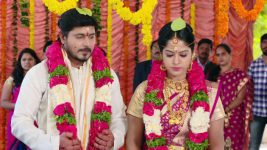 Bharya (Star Maa) S01E227 Anandi, Shivaji Get Married Full Episode