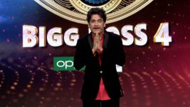Bigg Boss Telugu (Star Maa) S04E01 Season Premiere Full Episode