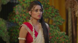 Chakravarthy Ashoka (Kannada) S01E240 1st April 2021 Full Episode
