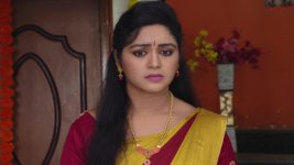 Chelleli Kaapuram S01E40 Manasa Advises Bhoomi Full Episode