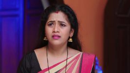 Chelleli Kaapuram S01E488 Manasa Spills the Beans Full Episode
