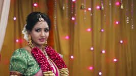 Chinnathambi S01E24 Nandini-Gowtham's Wedding! Full Episode