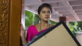 Chitti Talli S01E118 Shakuntala in for a Shock Full Episode