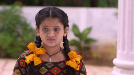 Chitti Talli S01E126 Will Chitti Meets Shakuntala? Full Episode