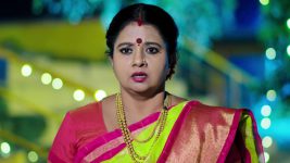 Devatha Anubandhala Alayam S01 E699 A Stunner for Devudamma