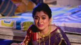 Dhrubatara S01E492 Tara Pledges Justice Full Episode