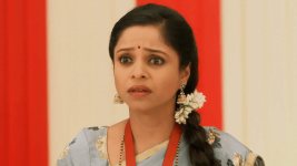 Ga Sahajani S01E14 Will Meena Pay For Her Mistake? Full Episode