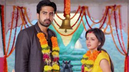 Geetha Govindam S01E50 Govind, Geetha Get Married Full Episode