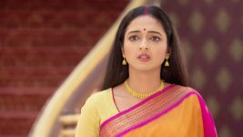 Gramer Rani Binapani S01E368 Binapani Worries About Shatadru Full Episode