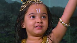 Hathi Ghoda Palki Jai Kanhaiya Lal Ki (Star Bharat) S01E183 Kaanha Protects Vrindavanbasi Full Episode