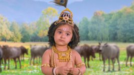 Hathi Ghoda Palki Jai Kanhaiya Lal Ki (Star Bharat) S01E86 The Birth of Vrindavan Full Episode