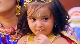 Joy Gopal S01E51 Krishna Is Named Makhan Chor Full Episode