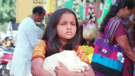 Koilamma S01E42 Chinni Avoids Mounica Full Episode