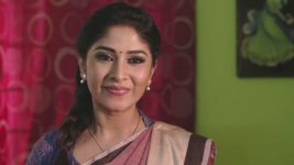 Krishnaveni S01E13 A Good News for Sudha Full Episode