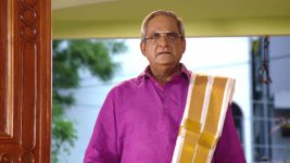 Krishnaveni S01E223 Vishwanatham Stops Indrani Full Episode