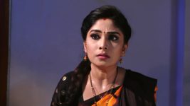 Krishnaveni S01E228 Sudha Is Terrified Full Episode